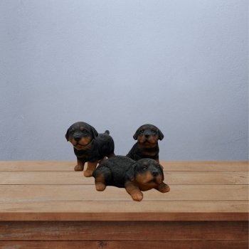 Trio cachorro rottweiler - resina
